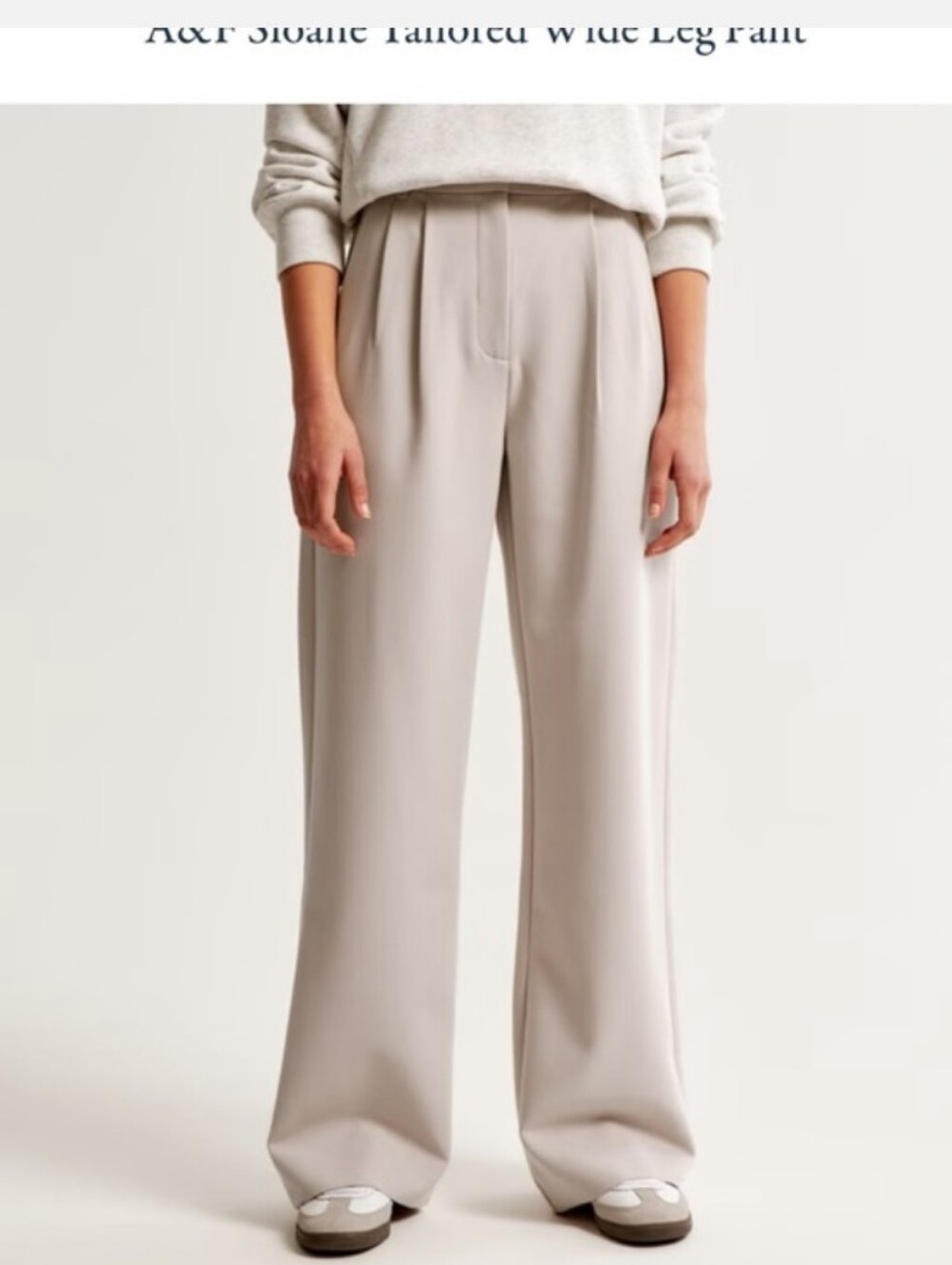 Abercrombie & Fitch Sloane Tailored Wide-Leg Trouser Pants in Light Taupe Size S